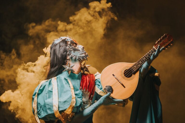 Gala Dinner Show at Europa Park: Cost, Booking and Process
